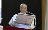 Leon XIV podkreśla aktualność ekologicznej encykliki Franciszka