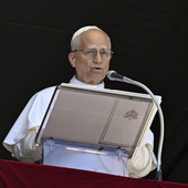 Leon XIV podkreśla aktualność ekologicznej encykliki Franciszka