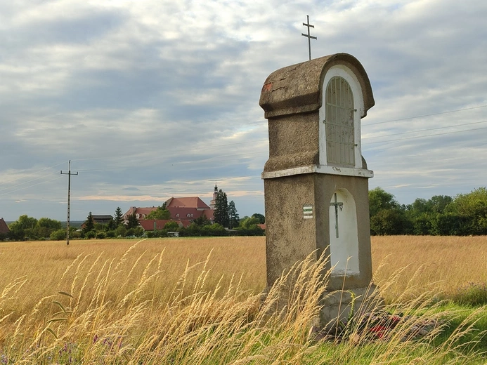 Szlak kapliczek poświęconych Matce Bożej Bolesnej w Głębowicach