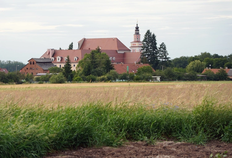 Szlak kapliczek poświęconych Matce Bożej Bolesnej w Głębowicach