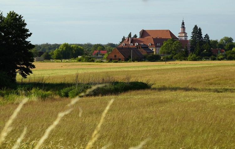 Szlak kapliczek poświęconych Matce Bożej Bolesnej w Głębowicach
