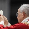 Opublikowano harmonogram najbliższych wydarzeń z udziałem Papieża