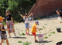 Piknik rodzinny pod Kopcem Kościuszki