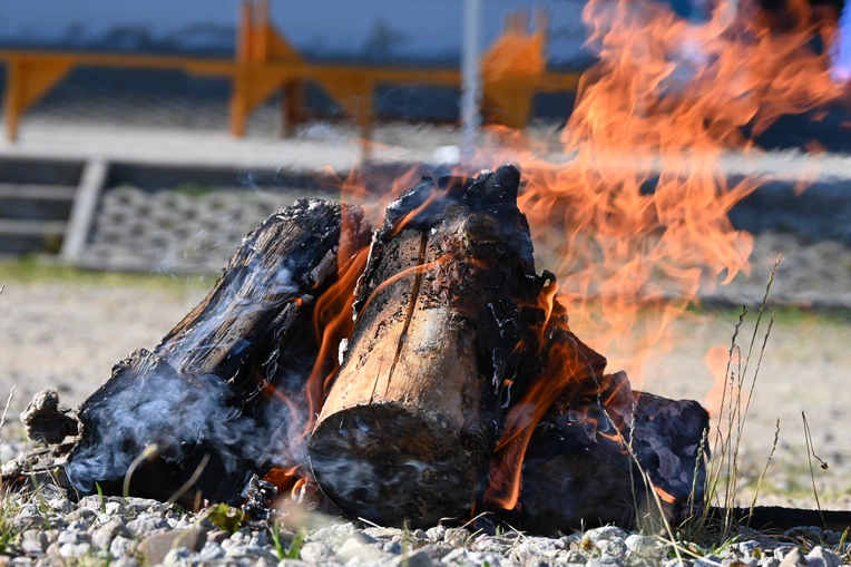 VII Watra Rogoźnicka