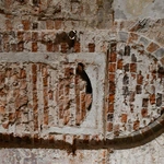 Wyjątkowe odkrycie w Paradyżu