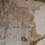 Wyjątkowe odkrycie w Paradyżu