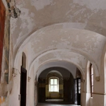 Wyjątkowe odkrycie w Paradyżu