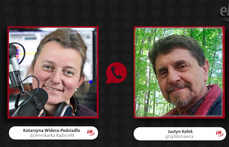 Nie daj się zwieść! Te grzyby mogą zabić – mówi Justyn Kołek