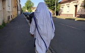 Wolontariat NNIWY w Czechach