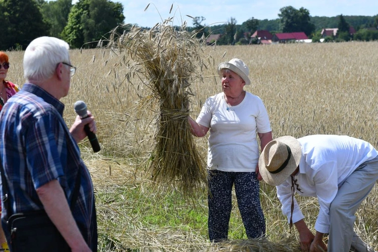 "Jak to z chlebem było?" w Białkowie