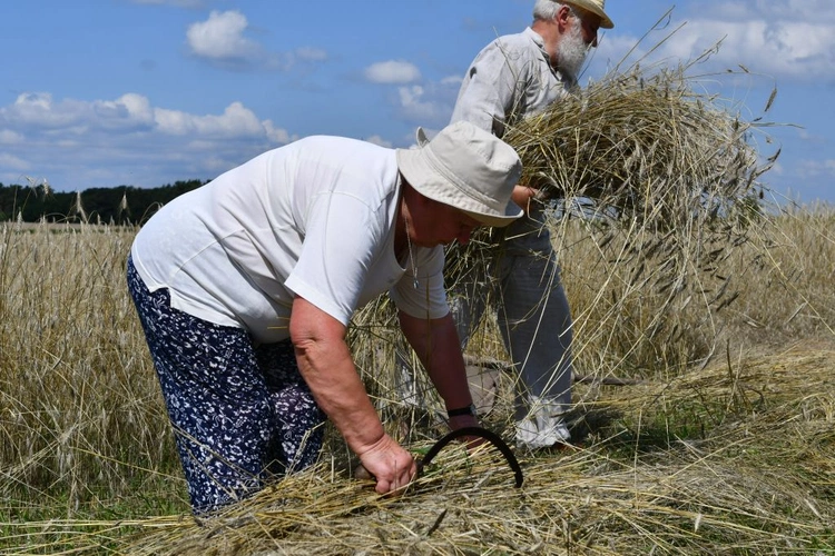 "Jak to z chlebem było?" w Białkowie