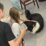 Dogoterapia w Caritas - cz. 1