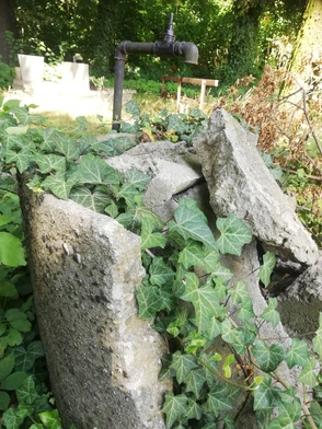 Spotkania z przyrodą: Poetycki mikroklimat