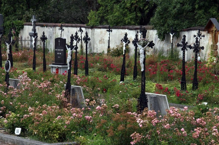 Cmentarz sióstr zakonnych w Bílej Vodzie