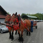 Bp Greger w Istebnej