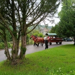 Bp Greger w Istebnej