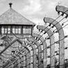 Świadkowie płonących pieców. Byli więźniowie Auschwitz z detalami zapamiętali piekło na ziemi, którego doświadczyli
