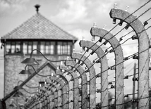 Świadkowie płonących pieców. Byli więźniowie Auschwitz z detalami zapamiętali piekło na ziemi, którego doświadczyli
