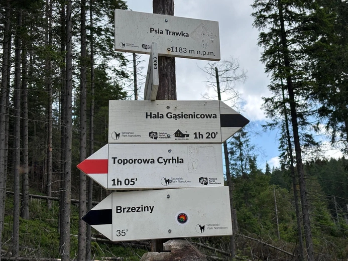 Wakacje z Wartościami 2025