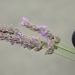 PPW 2025. Grupa 14 rozpoczęła wędrówkę