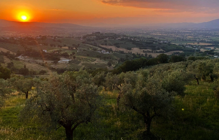 Święta Klara z Montefalco