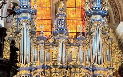 Organy budowano w latach 1719–1721, a ich twórcą był Jan Josue Mosengel, organmistrz z Królewca.