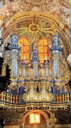 Organy budowano w latach 1719–1721, a ich twórcą był Jan Josue Mosengel, organmistrz z Królewca.