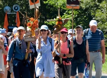 Na szlak wyruszają 23 grupy w pięciu strumieniach.