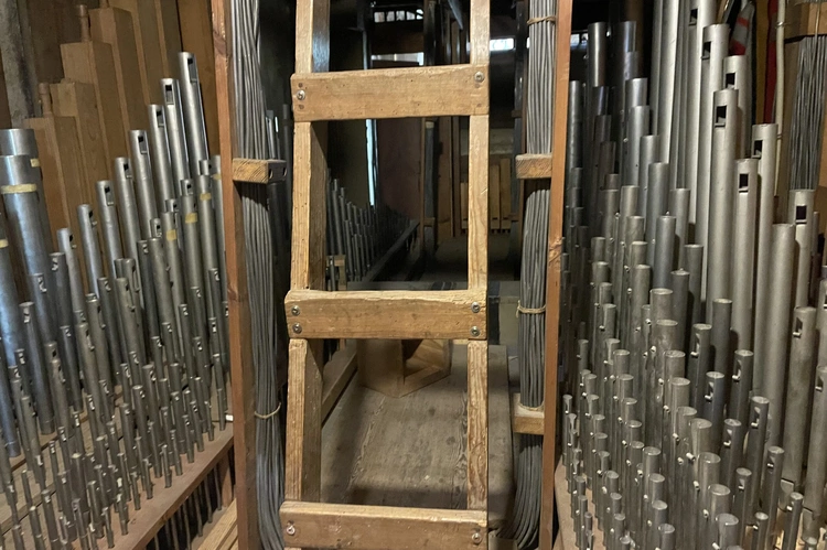 Remont dachu i organów w bazylice katedralnej