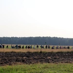 PPW2025. Borki Wielkie - Jezioro cz. 3