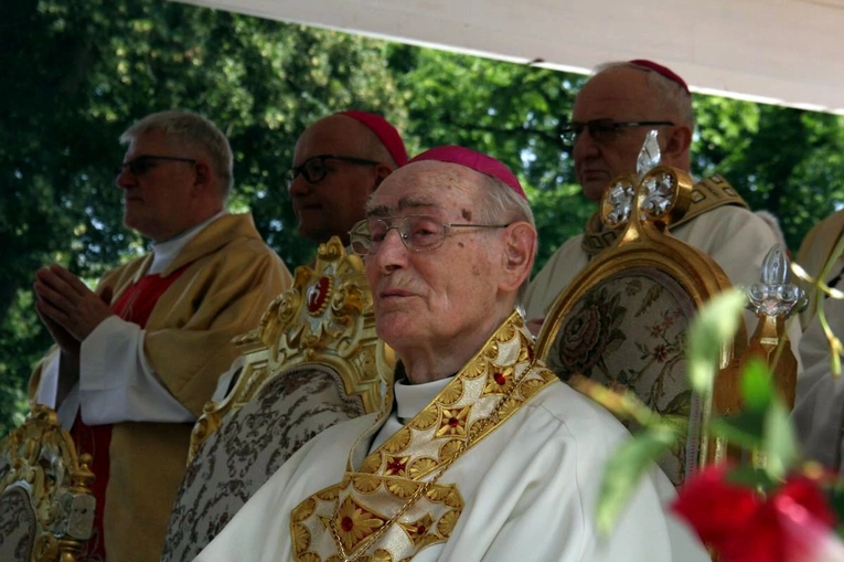Metropolitalna uroczystość ku czci św. Jacka w Kamieniu Śląskim