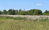 Cerkiew w Supraślu
