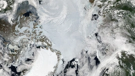 Arktyka z kosmosu. Z rzucającą się w oczy biała plamą duńskiej Grenlandii