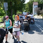 Strumień raciborski w Centawie