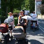 Strumień raciborski w Centawie