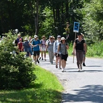 Strumień raciborski w Centawie