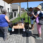 Strumień raciborski w Centawie