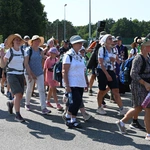Strumień opolski w Jemielnicy