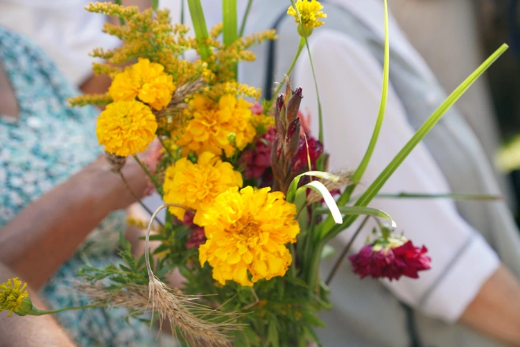 Z Wniebowziętą w Ligocie Książęcej