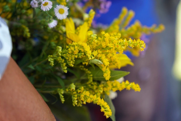 Z Wniebowziętą w Ligocie Książęcej