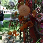 Silesian Flowers Festival w Pałacu Żyrowa