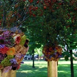 Silesian Flowers Festival w Pałacu Żyrowa