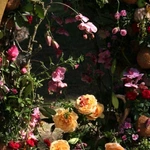 Silesian Flowers Festival w Pałacu Żyrowa