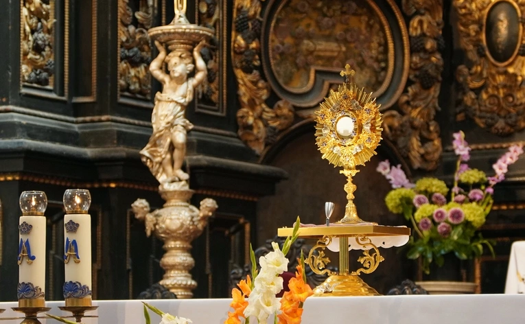 8. Pielgrzymka Wspólnot Żywego Różańca i Czcicieli Matki Bożej do Henrykowa