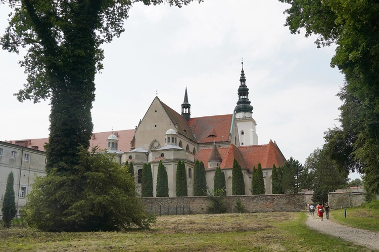 8. Pielgrzymka Wspólnot Żywego Różańca i Czcicieli Matki Bożej do Henrykowa