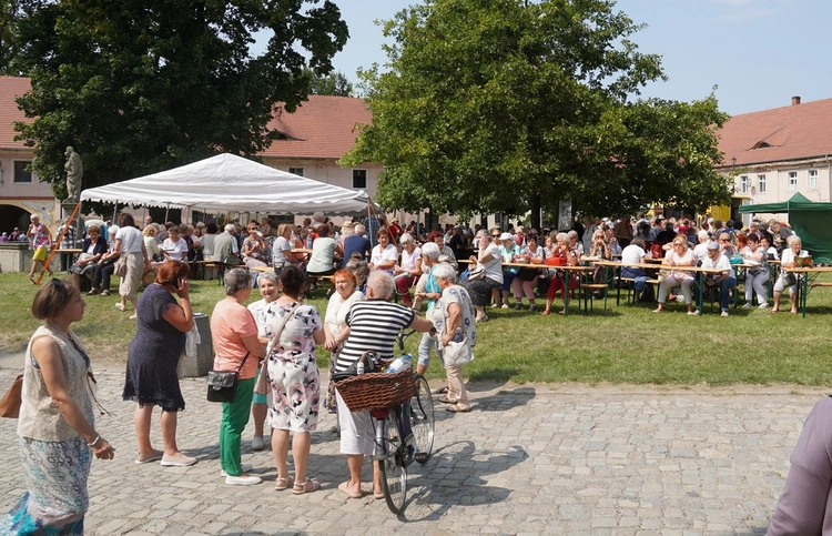 8. Pielgrzymka Wspólnot Żywego Różańca i Czcicieli Matki Bożej do Henrykowa