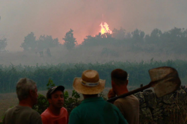 Co można zrobić? W Portugalii