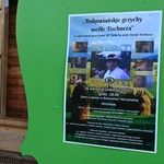 Między niebem a ziemią 