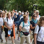 Grupa 19
