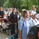 Grupa 8